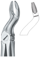 Tooth Ext Forceps