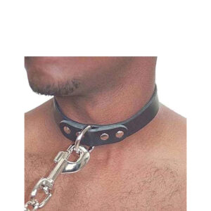 D Ring Collar